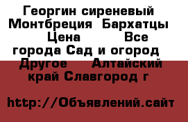 Георгин сиреневый. Монтбреция. Бархатцы.  › Цена ­ 100 - Все города Сад и огород » Другое   . Алтайский край,Славгород г.